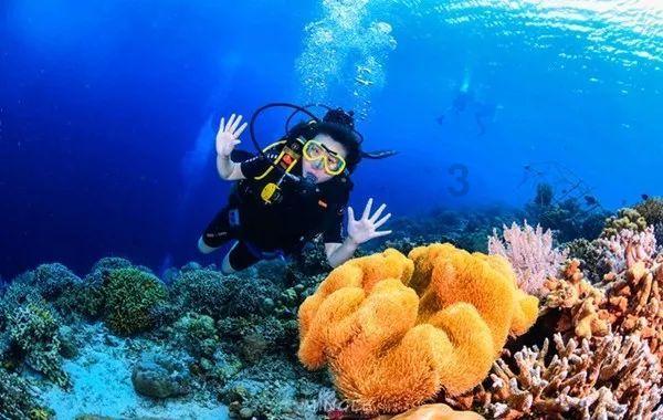 如何准确判断受孕情况?可丽蓝早早孕测试笔为你精准检测