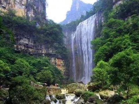拯救昆虫群