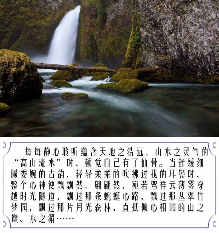 作家金宇澄在《繁花》之后画了十年画