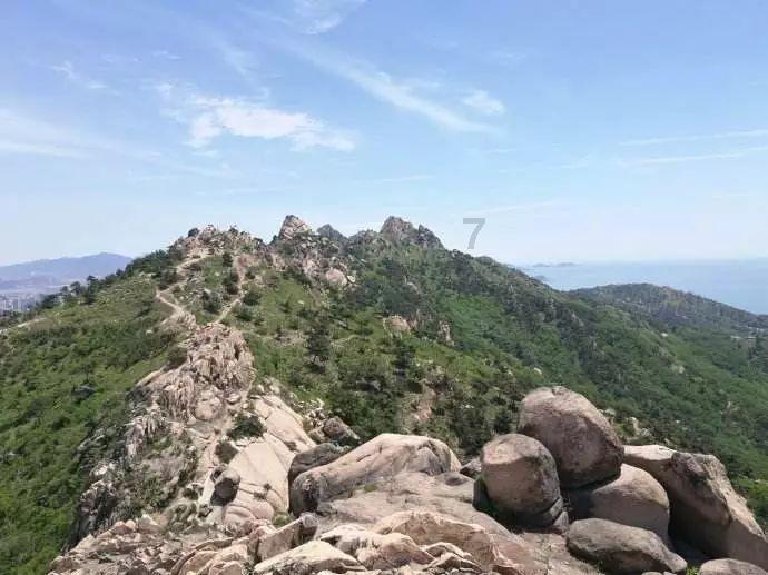 模拟山羊